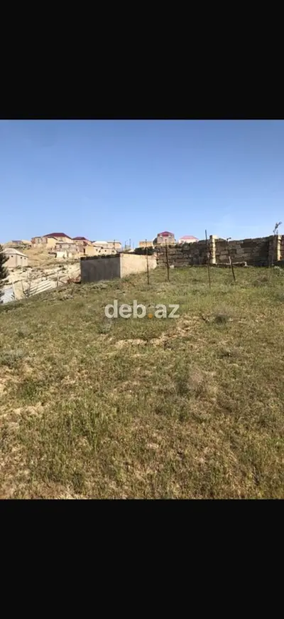 Tikinti, Bələdiyyə — kiçik şəkil 2