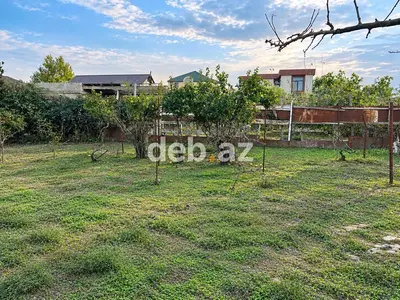 6 sot, Tikinti, Kupça (Çıxarış) — kiçik şəkil 2