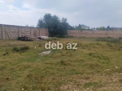 6 sot, Tikinti, Mülkiyyətçi, Kupça (Çıxarış) — kiçik şəkil 1