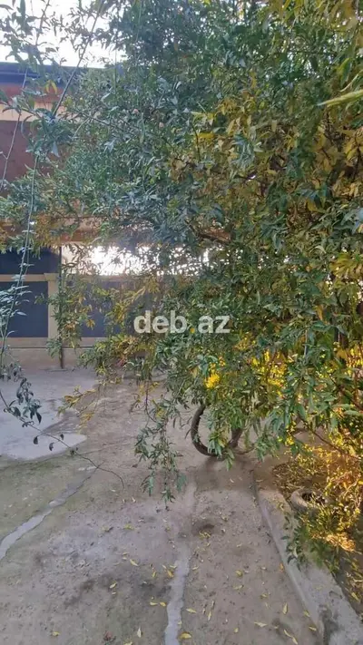 Zabrat 5 otaqlı, 126 kv. m — kiçik şəkil 10