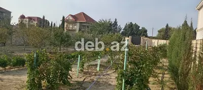 12 sot, Kənd təsərrüfatı, Kupça (Çıxarış) — kiçik şəkil 3