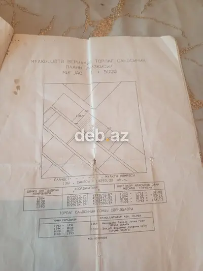 200 sot, Kənd təsərrüfatı, Mülkiyyətçi, Kupça (Çıxarış) — kiçik şəkil 5