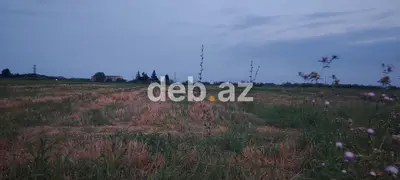 Bərdə rayon alpoud kəndi əkin sahəsi kanal qırağı torpaq Kupçalı sənəd — kiçik şəkil 1