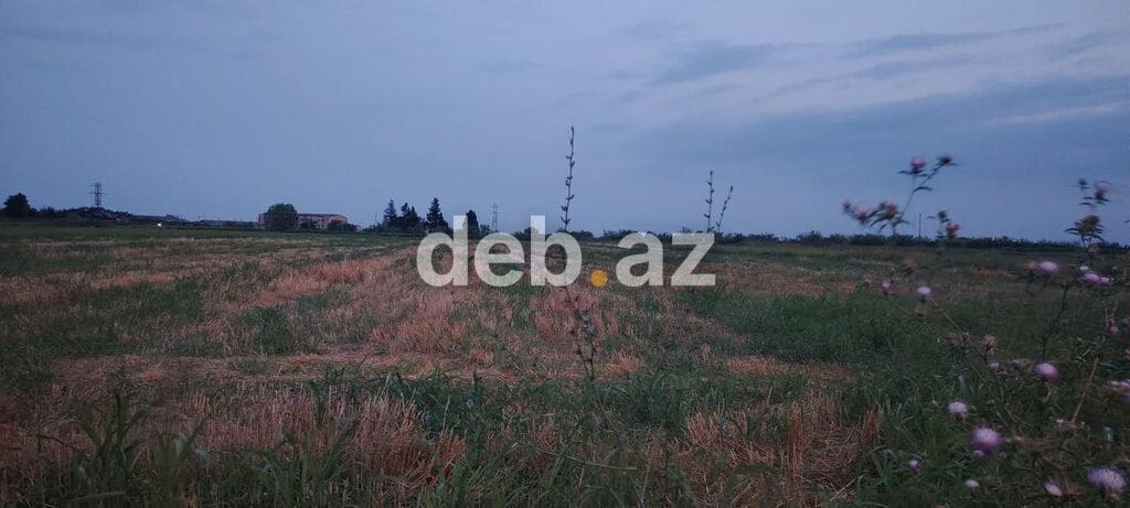 Bərdə rayon alpoud kəndi əkin sahəsi kanal qırağı torpaq Kupçalı sənəd — Bərdə