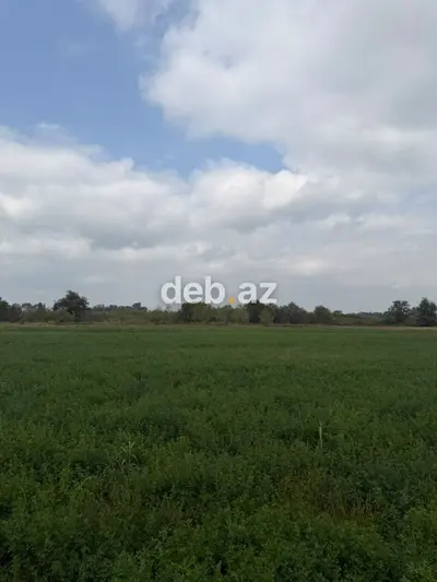 1.14 hektar (114 sot) kənd təsərrüfatı təyinatlı sənədli torpaq sahəsi satılır — kiçik şəkil 1