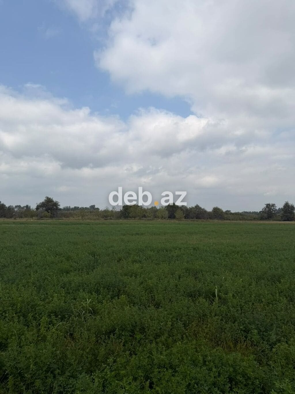 1.14 hektar (114 sot) kənd təsərrüfatı təyinatlı sənədli torpaq sahəsi satılır — Hacıqabul