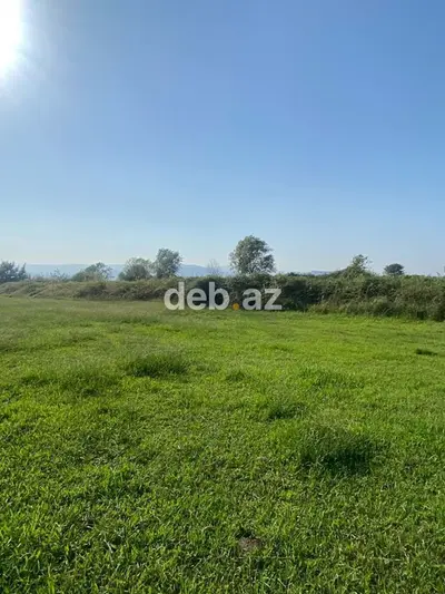 10 sot, Tikinti, Kupça (Çıxarış) — kiçik şəkil 4