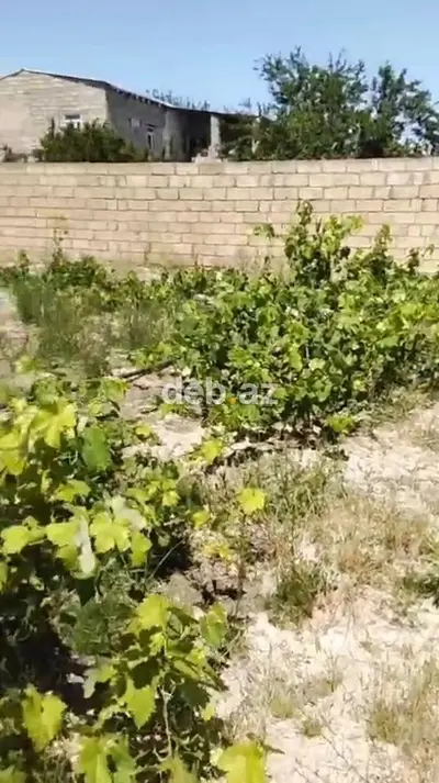 3 sot, Kənd təsərrüfatı, Bələdiyyə — kiçik şəkil 2