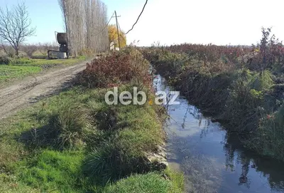 29 sot, Kənd təsərrüfatı, Mülkiyyətçi, Kupça (Çıxarış) — kiçik şəkil 2