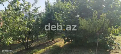10 sot, Tikinti, Mülkiyyətçi, Kupça (Çıxarış) — kiçik şəkil 15