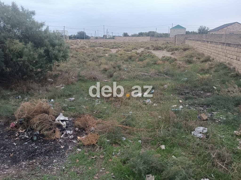 6 sot, Tikinti, Mülkiyyətçi, Kupça (Çıxarış) — şəkil 1
