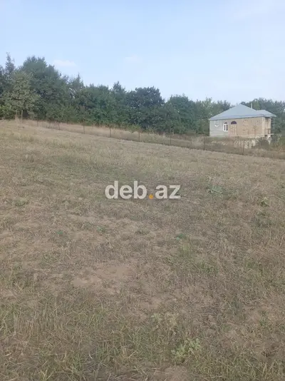 Kənd təsərrüfatı — kiçik şəkil 3