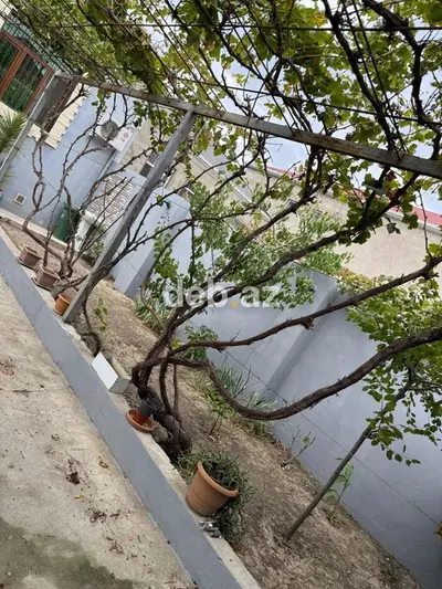 3 otaqlı, 120 kv. m, Kredit yoxdur — kiçik şəkil 6