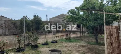 Tikinti, Bələdiyyə — kiçik şəkil 3