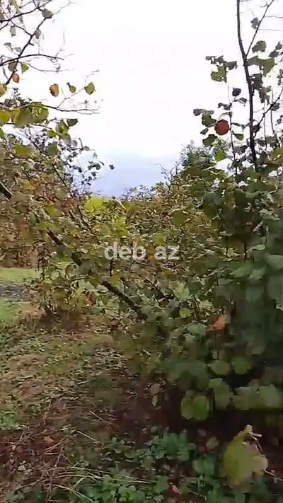 6 otaqlı, 124 kv. m, Kredit var, Orta təmir — kiçik şəkil 4