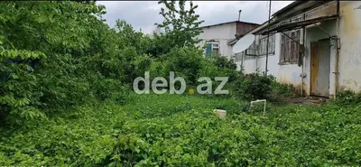 5 sot, Tikinti, Kupça (Çıxarış) — kiçik şəkil 3
