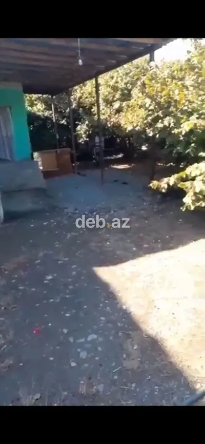 Həyətyanı sahəsi olan kənd evi Qəbələ rayonu Savalan kəndi həm fındıq — kiçik şəkil 2