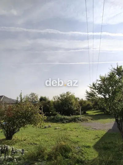 8 sot, Tikinti, Mülkiyyətçi, Kupça (Çıxarış) — kiçik şəkil 2