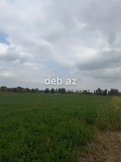 1.14 hektar (114 sot) kənd təsərrüfatı təyinatlı sənədli torpaq sahəsi satılır — kiçik şəkil 9