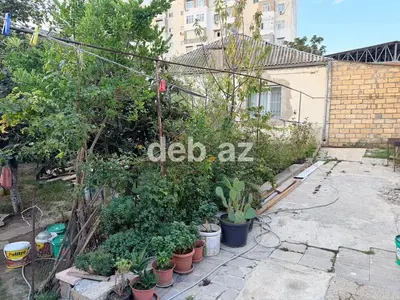 6 sot, Biznes üçün, Mülkiyyətçi, Kupça (Çıxarış) — kiçik şəkil 8