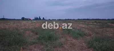 Bərdə rayon alpoud kəndi əkin sahəsi kanal qırağı torpaq Kupçalı sənəd — kiçik şəkil 3