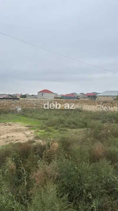 Tikinti, Kupça (Çıxarış) — kiçik şəkil 8