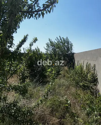 Nardaran qəs. 4 otaqlı, 180 kv. m, Kredit yoxdur, Təmirsiz — kiçik şəkil 7