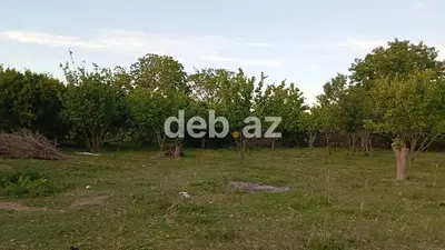 25 sot, Kənd təsərrüfatı, Mülkiyyətçi — kiçik şəkil 2