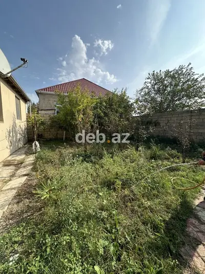 Salam, Corat bağları, Sumqayıt şəhəri, Saray baglar massivi, 2513 — kiçik şəkil 12