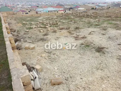 5 sot, Tikinti — kiçik şəkil 3