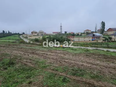 100 sot, Kənd təsərrüfatı, Mülkiyyətçi, Kupça (Çıxarış) — kiçik şəkil 2