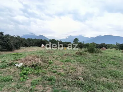 Qəbələ rayonu, Bum qəsəbəsində 2.5 hektar tikinti təyinatlı torpaq — kiçik şəkil 9