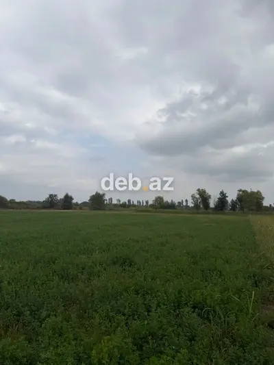 1.14 hektar (114 sot) kənd təsərrüfatı təyinatlı sənədli torpaq sahəsi satılır — kiçik şəkil 14