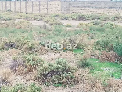 6 sot, Tikinti, Mülkiyyətçi, Kupça (Çıxarış) — kiçik şəkil 2