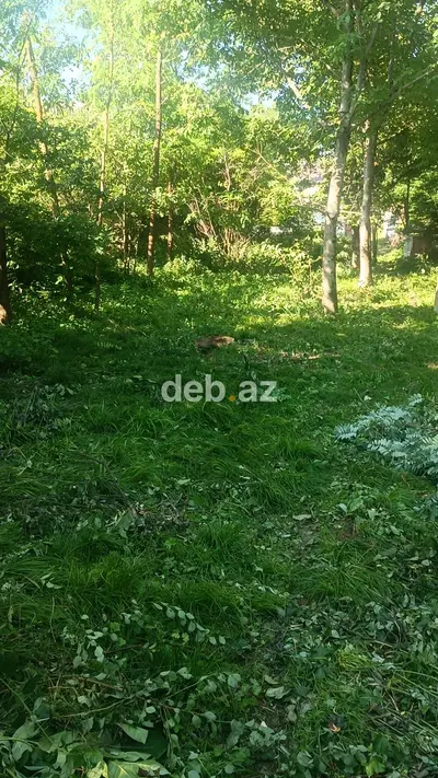 Qusar rayonu köxnə xudat kəndi — kiçik şəkil 2