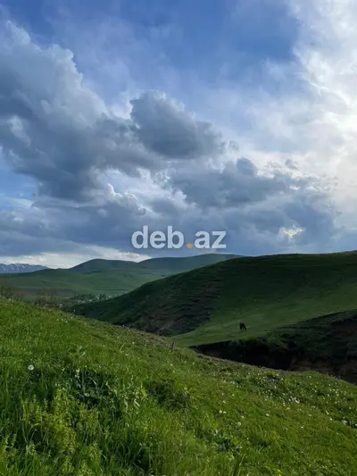 10 sot, Tikinti, Mülkiyyətçi, Kupça (Çıxarış) — kiçik şəkil 3