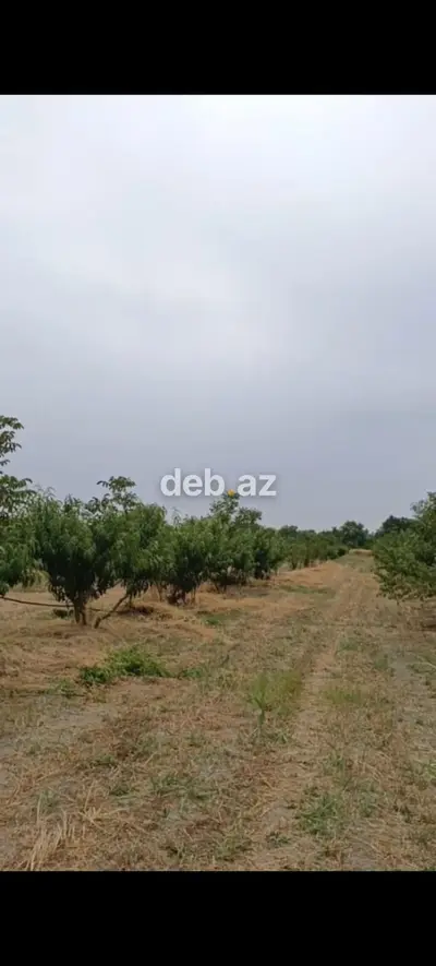 - Çıxarışı var. Kənd təsərrüfatı təyinatlı torpaqdır. - 1.27 hektar — kiçik şəkil 6
