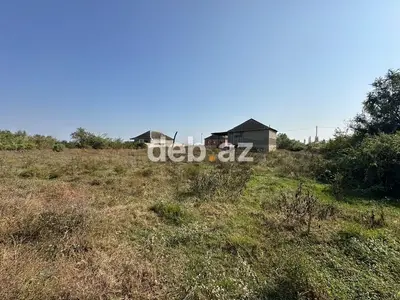 23 sot, Kənd təsərrüfatı, Mülkiyyətçi, Kupça (Çıxarış) — kiçik şəkil 7