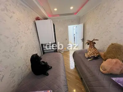Bakı, 3 otaqlı, Köhnə tikili, m. Memar Əcəmi, 65 kv. m — kiçik şəkil 2