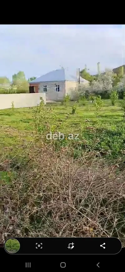 14 sot, Tikinti, Mülkiyyətçi, Kupça (Çıxarış) — kiçik şəkil 5