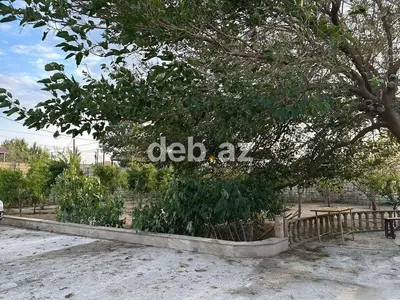 Bakı, Pirşağı qəs., 200 kv. m, 6 otaqlı, Qaz — kiçik şəkil 7