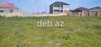 5 sot, Tikinti, Kupça (Çıxarış) — kiçik şəkil 2