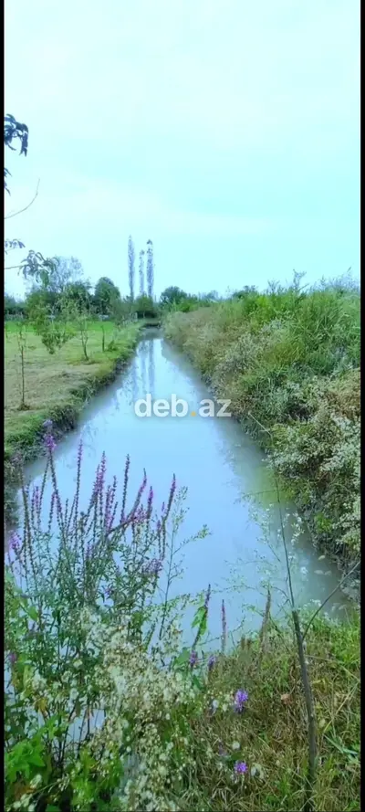 650 sot, Kənd təsərrüfatı, Maklerlər narahat etməsin, Kupça (Çıxarış) — kiçik şəkil 8