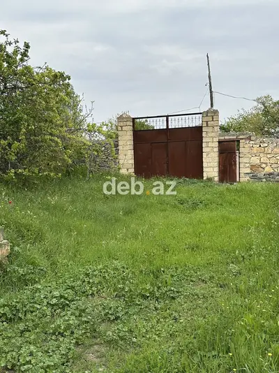31 sot, Tikinti, Mülkiyyətçi, Kupça (Çıxarış) — kiçik şəkil 1