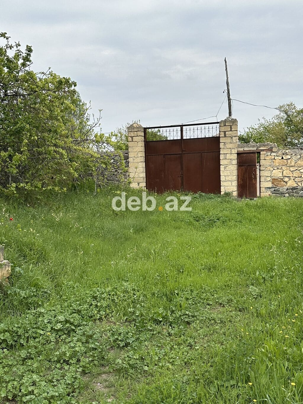 31 sot, Tikinti, Mülkiyyətçi, Kupça (Çıxarış) — şəkil 1
