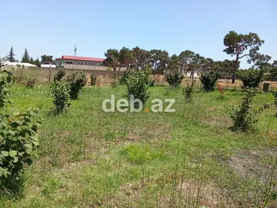 8 sot, Kənd təsərrüfatı, Mülkiyyətçi, Kupça (Çıxarış) — kiçik şəkil 2