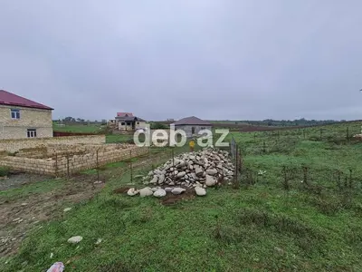100 sot, Kənd təsərrüfatı, Mülkiyyətçi, Kupça (Çıxarış) — kiçik şəkil 13