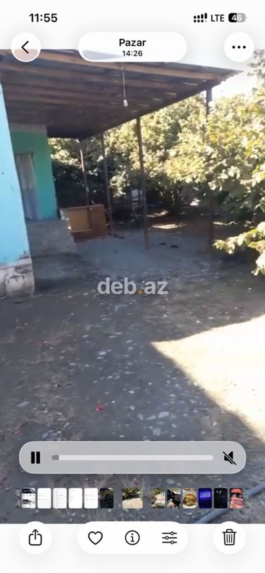 Həyətyanı sahəsi olan kənd evi Qəbələ rayonu Savalan kəndi həm fındıq — şəkil 1